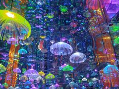 -成都梵高星空艺术馆(春熙路旗舰店)