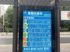 -紫荆广场·花漫里