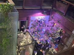 -望京一号(菜户营店)