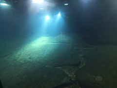 -白鹤梁水下博物馆