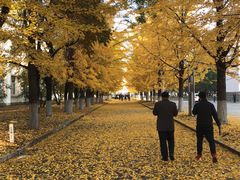 -辽东学院(南校区)