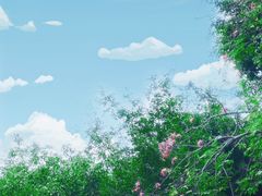 -嘉和K6温泉微度假