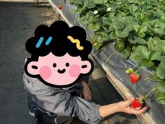 -甜心庄园·甜心草莓采摘园(西青中北店)