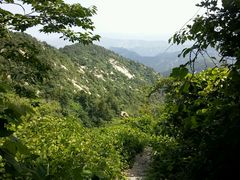 -鲁山国家森林公园