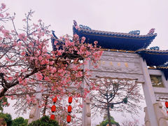 -宝墨园景区