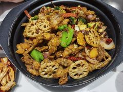 -靓蛙馆
