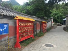 -阳台山自然风景区