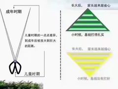 -金色雨林感统学能培训中心(武广校区)