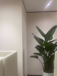 -四川米兰柏羽医学美容医院