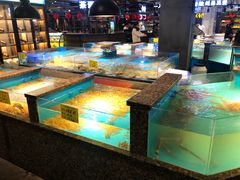 水产区-拉完海鲜大排档(温岭店)