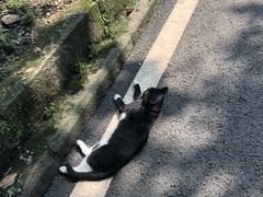 -黄桷坪涂鸦艺术街