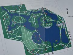 -大兴滨河森林公园