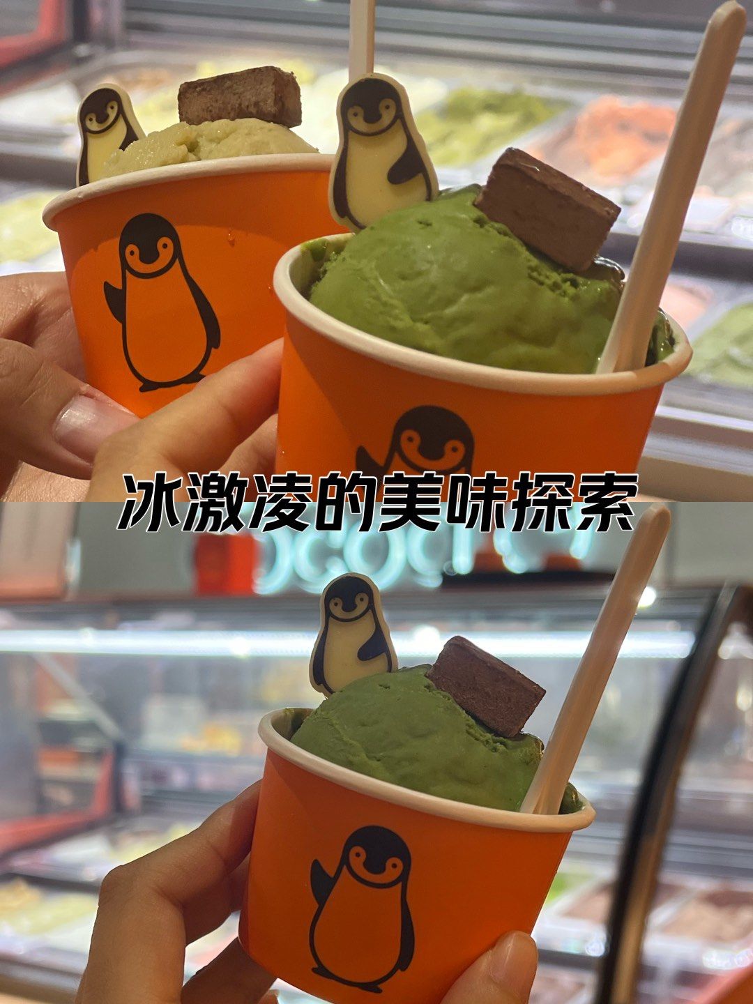 可可爱爱的企鹅冰淇淋