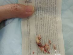 -美联众合动物医院·24h转诊中心