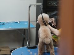 -转角宠物(转塘方家苑店)