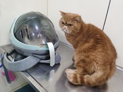 -荣耀金沙动物医院(清江西路店)