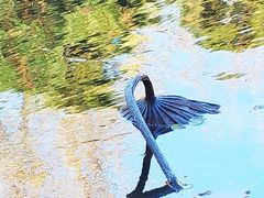 -颐和园