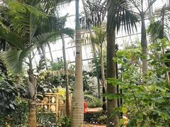 -南山植物园