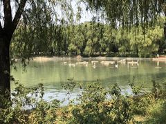 -达活泉公园