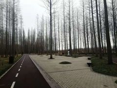 -黄海国家森林公园