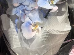 -花里花店(唐镇阳光天地店)