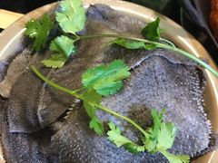 鲜毛肚-肥龙火锅(南坪店)