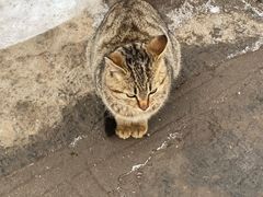 -终南山南五台景区