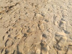 -李官龙王庙海滨旅游度假村