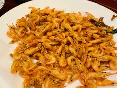 -金狮麟·新豫菜(金码大厦店)