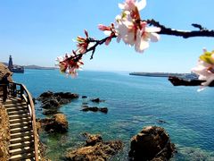 -大连老虎滩海洋公园