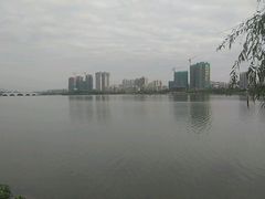 -飞来湖湿地公园