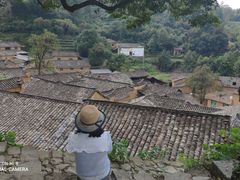 -杨家堂村