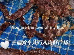 -三亚火车头万人海鲜广场