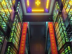 -广东中医药博物馆