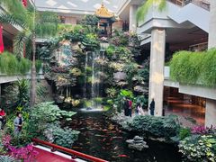 -广州白天鹅宾馆