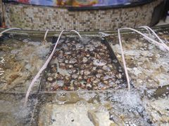 -良友·海鲜青岛菜(五四广场店)