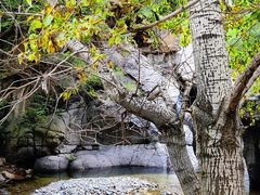 -小五台金河景区