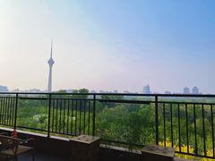-中国宋庆龄青少年科技文化交流中心