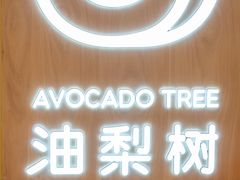 -油梨树AVOCADO TREE(嘉里中心店)
