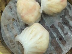 -金碧轩粤菜海鲜大酒楼