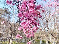 -白塘生态植物园