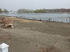 -长春市南湖公园