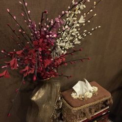 -脉道美容养生会所