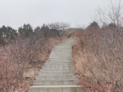 -北京西山国家森林公园