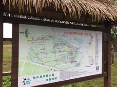 -上海长兴岛郊野公园