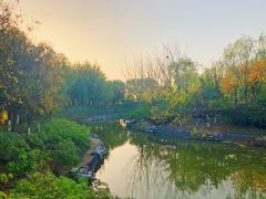 -大兴滨河森林公园