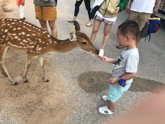 景点-清迈夜间动物园