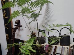 -道南書院·私房菜·早午茶·茶馆