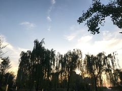 -秀丽东方