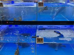 -永辉超市(鲁谷店)